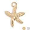 Beachy Charms
